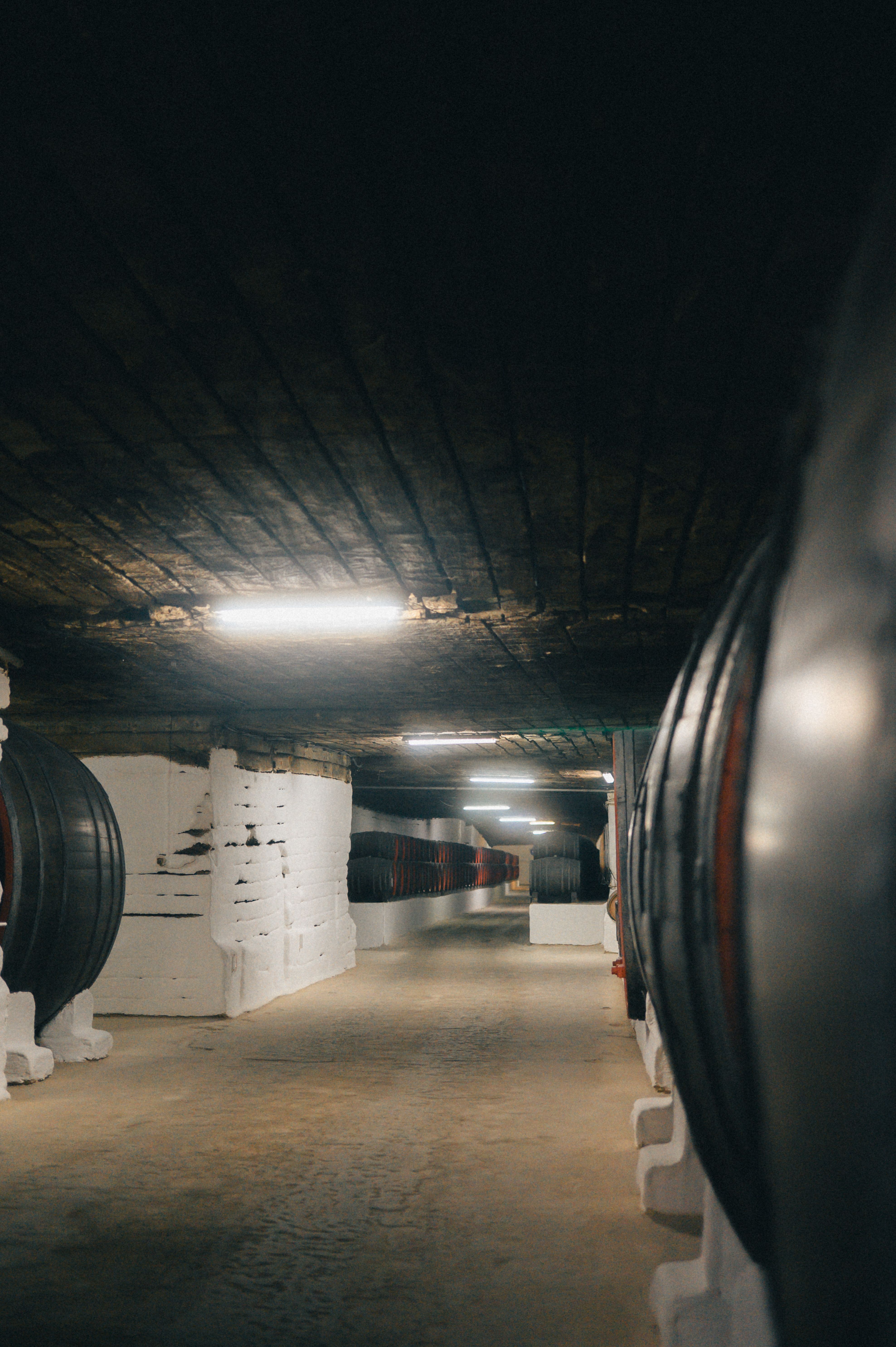 Bodegas